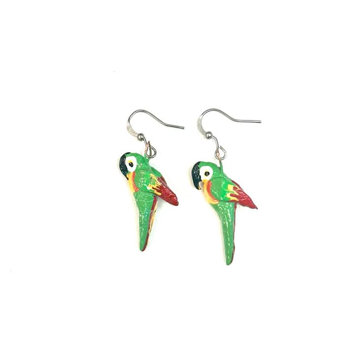 BO perroquet-CR3-Rouge Aventure