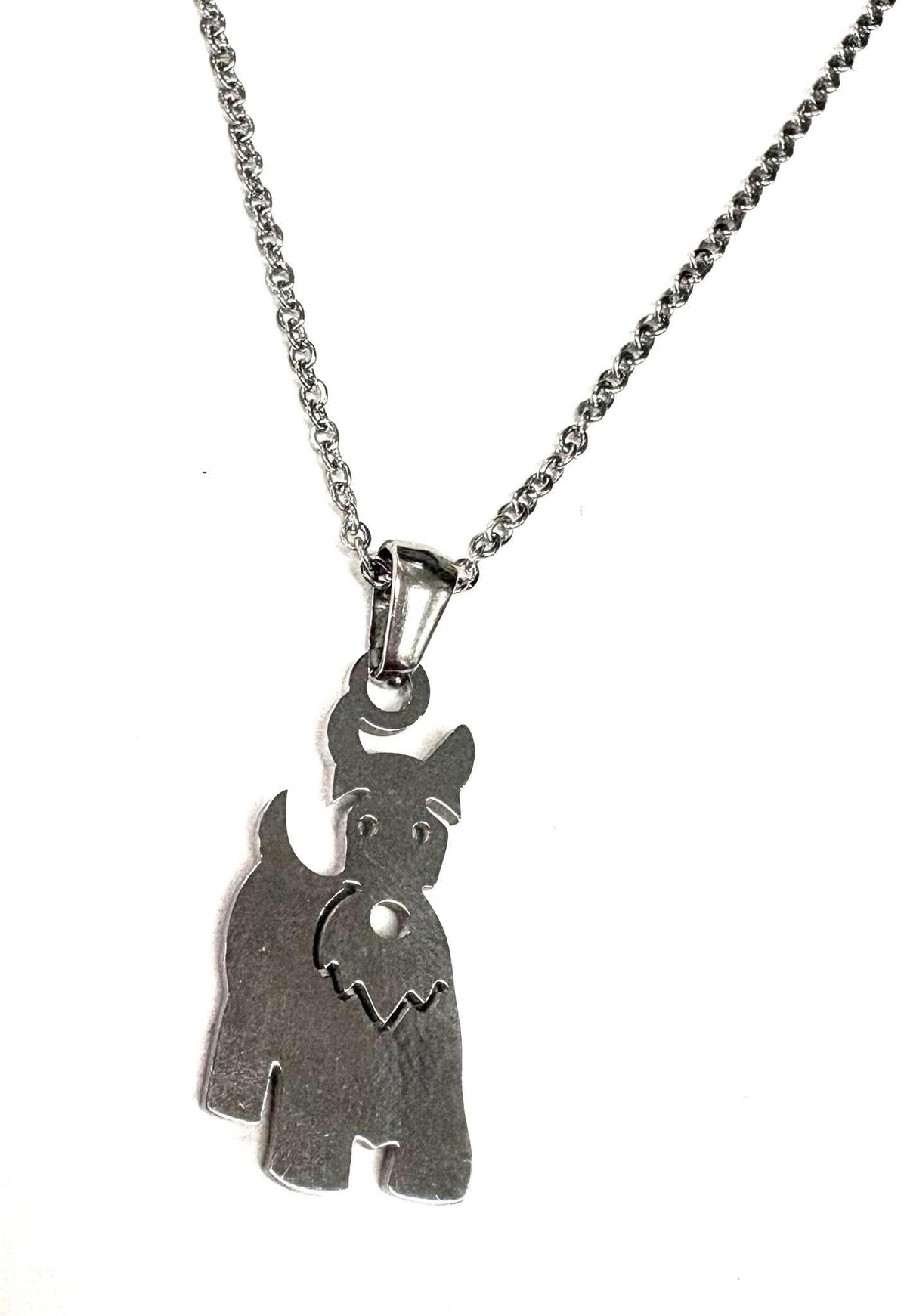 Collier chien Schnauzer - Rouge Inox