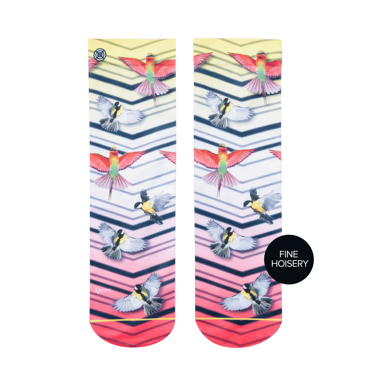 Bas courts xpooos Oiseaux Hazel