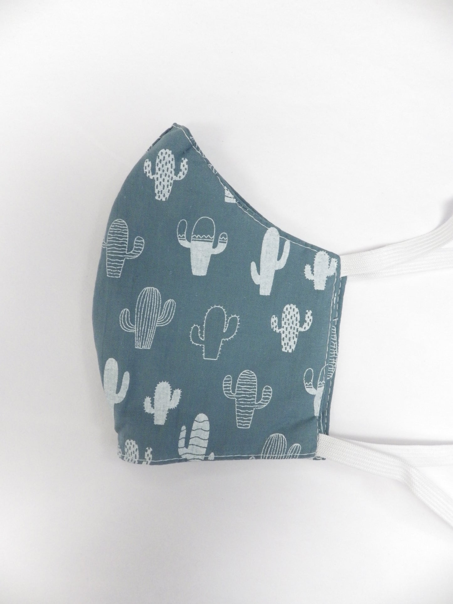 Green & white cactus