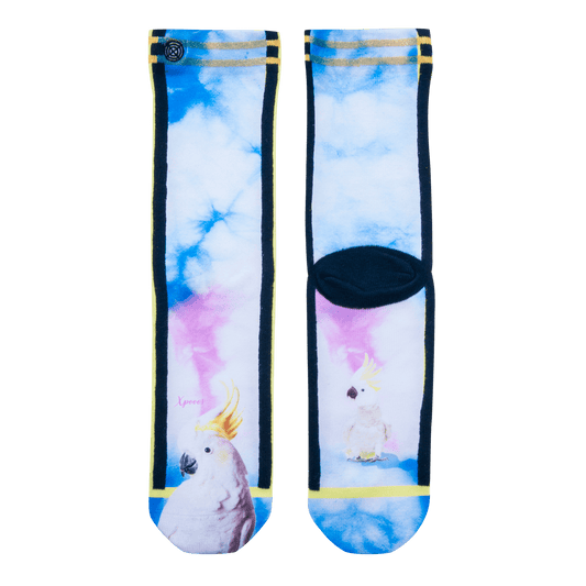 Bas xpooos Oiseau Biba