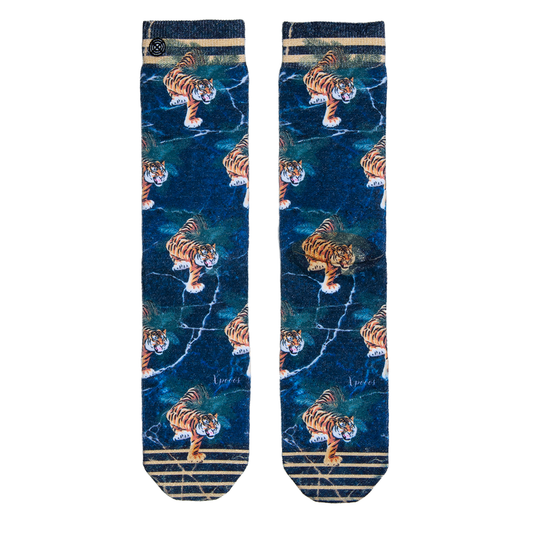 Bas xpooos Tigres Scintillants